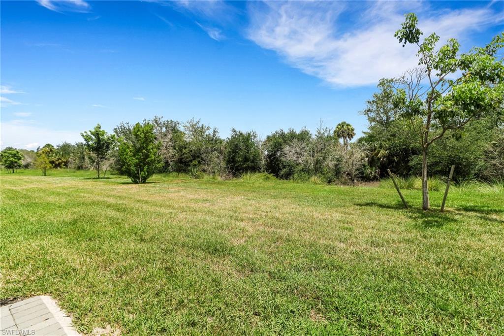 11035 Pebble Springs RUN