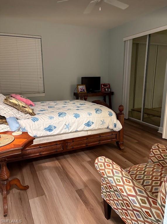 4990 Marsh Turtle TRL # 102