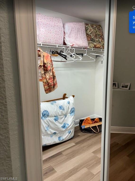 4990 Marsh Turtle TRL # 102