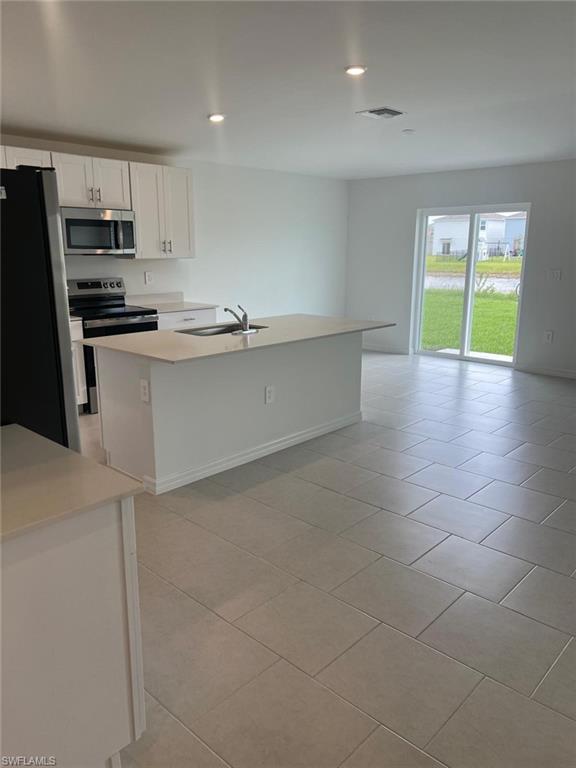 19722 Lavender Field CT