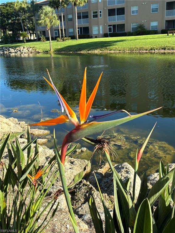 3840 Sawgrass WAY # 2811