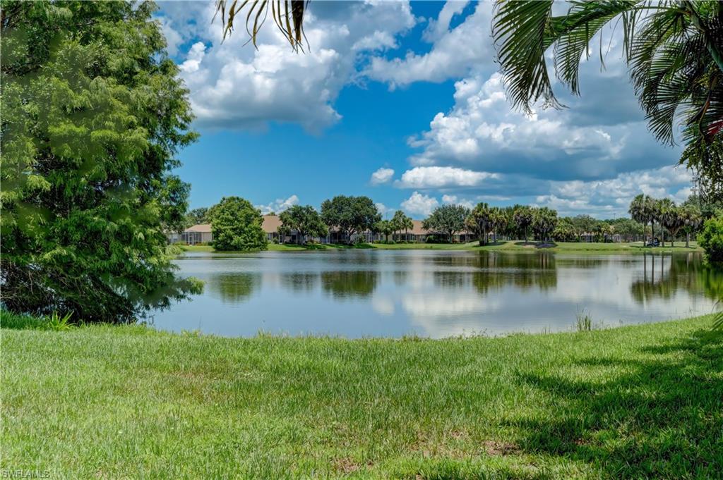 21670 Berwhich RUN, ESTERO