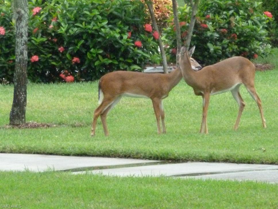 8610 Cedar Hammock CIR # 1226, NAPLES Unit: 1226