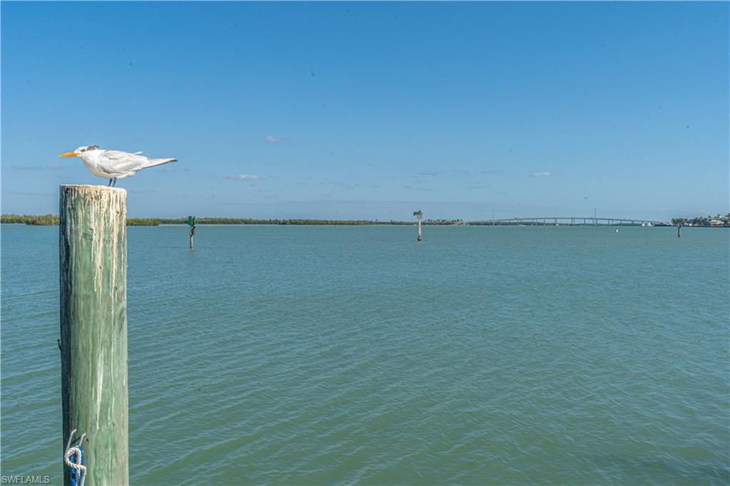 1085 Bald Eagle DR # E505