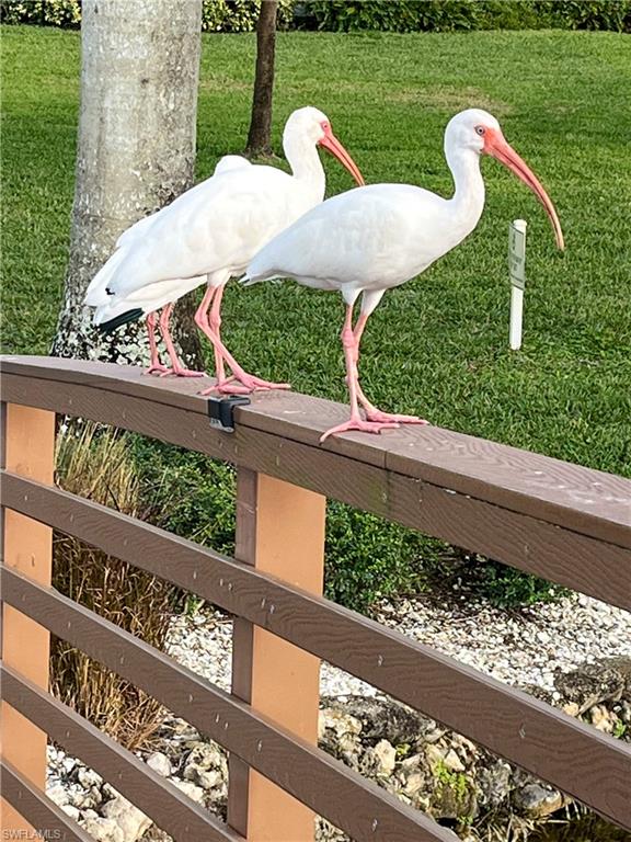 1702 Kings Lake BLVD # 103, NAPLES Unit: 103