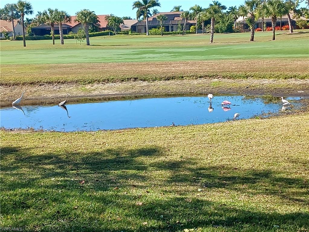 9851 Costa Mesa LN # 305