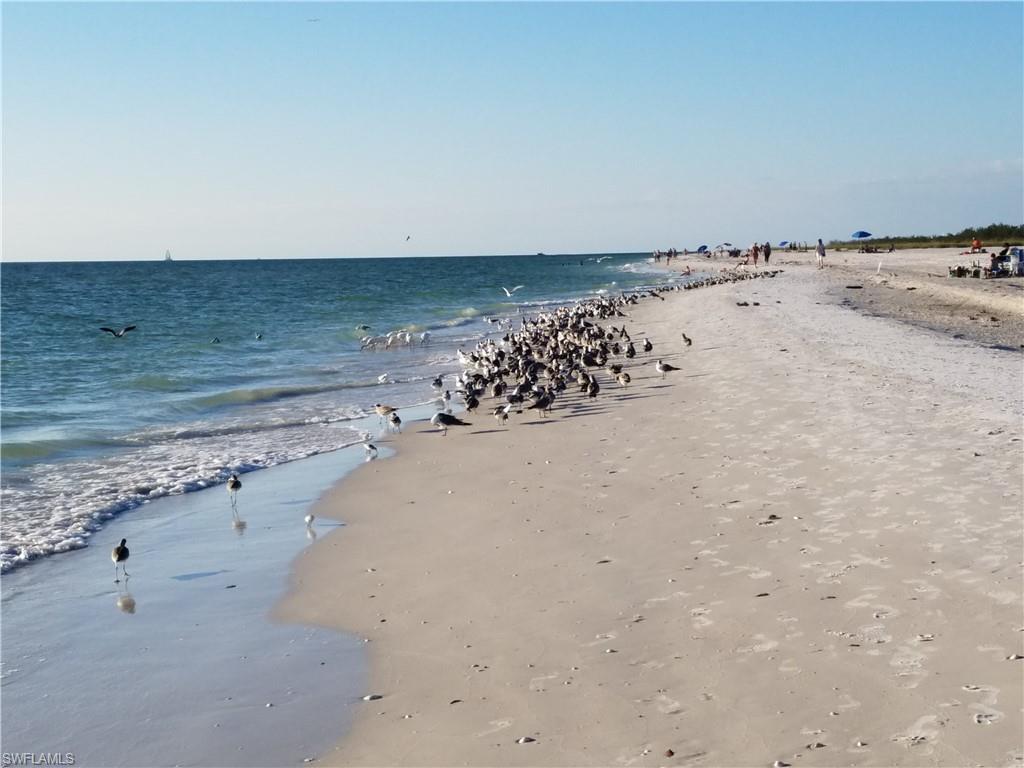 829 W Elkcam CIR # 208 Unit: 2-208