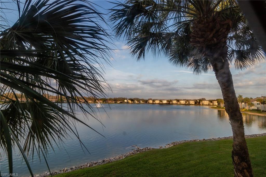 2711 Citrus Lake DR # F202