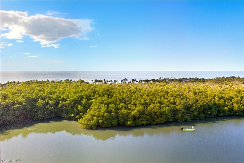 15 Bluebill AVE # 702