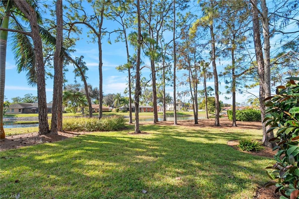 15 Bennington DR # 7