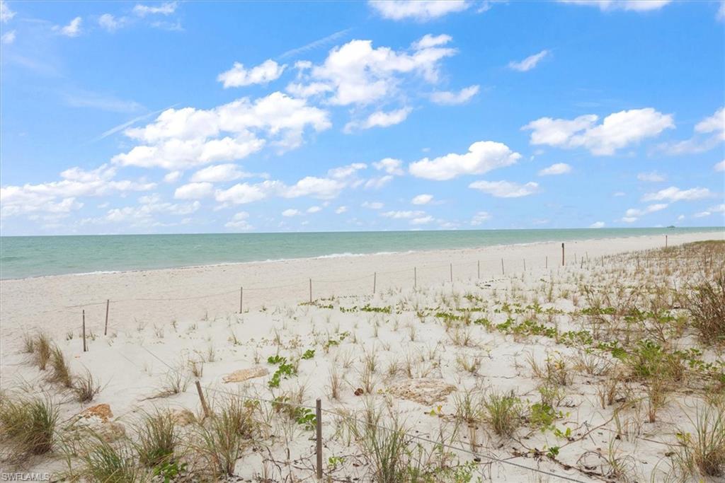 291 8th AVE S # 291A