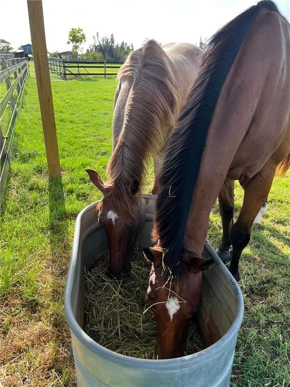 6050 Stringfellow RD