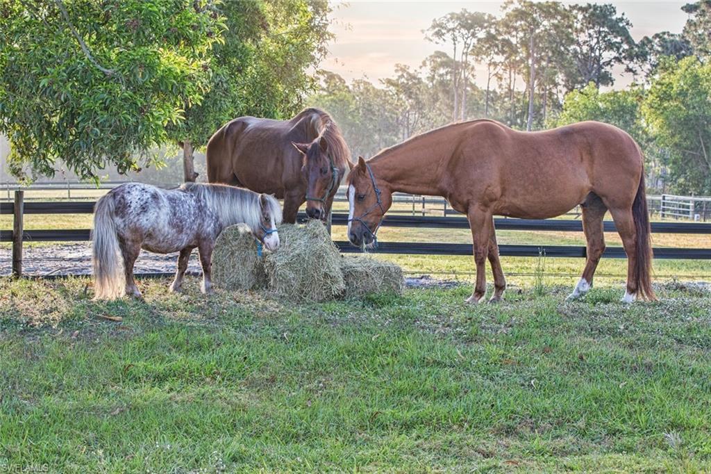 6050 Stringfellow RD