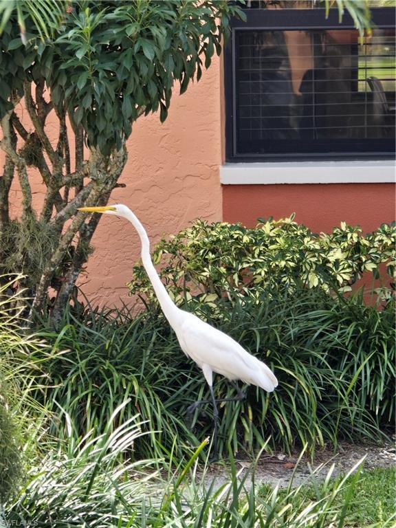 1532 Mainsail DR # 12