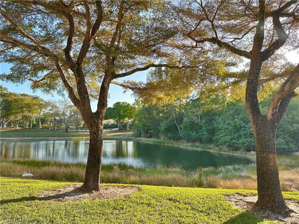 354 Dover PL # 104 Unit: D-104