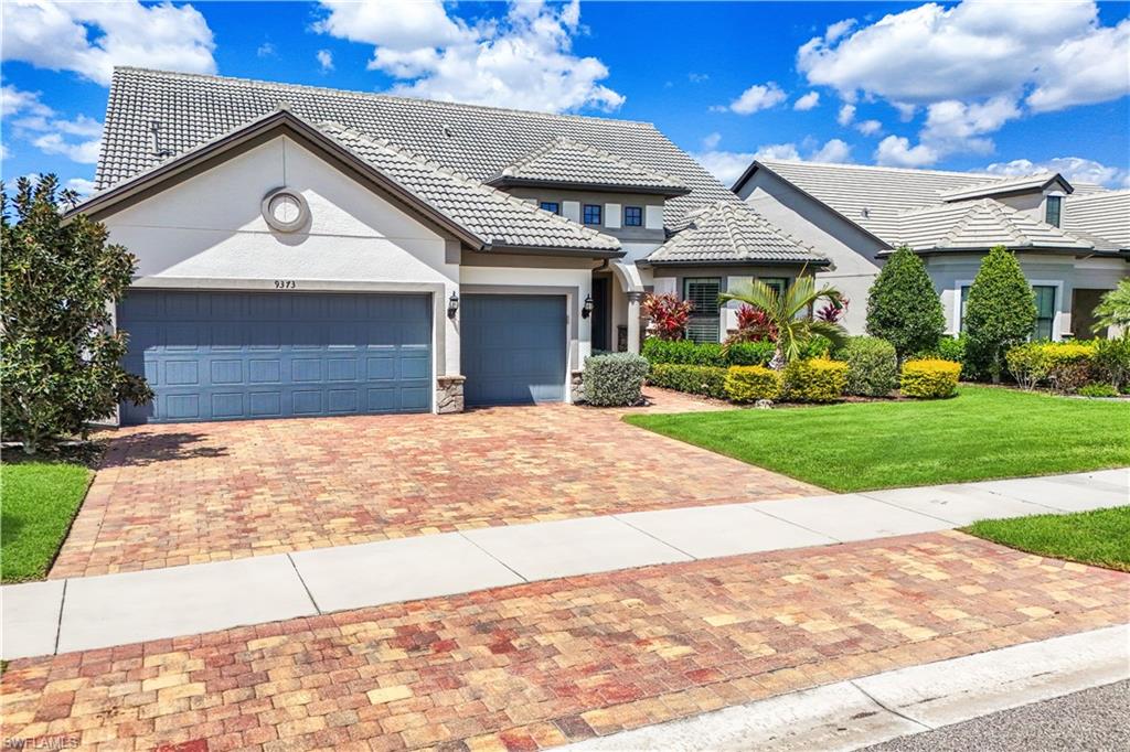 9373 Surfbird CT