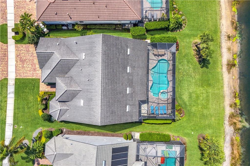 9373 Surfbird CT