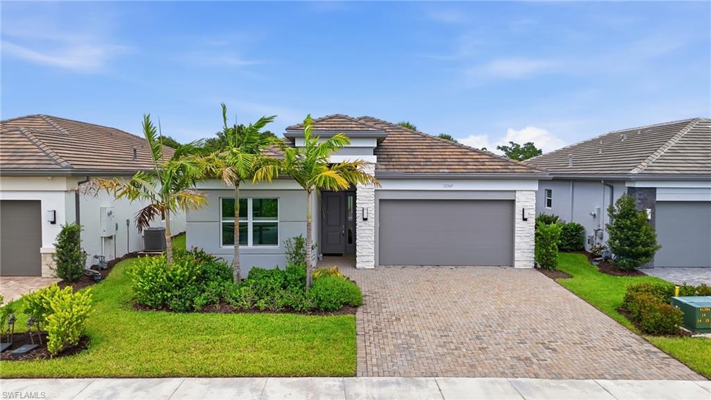 12349 Dahlia CT