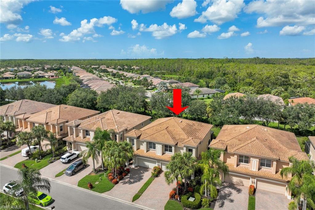 20616 Larino LOOP