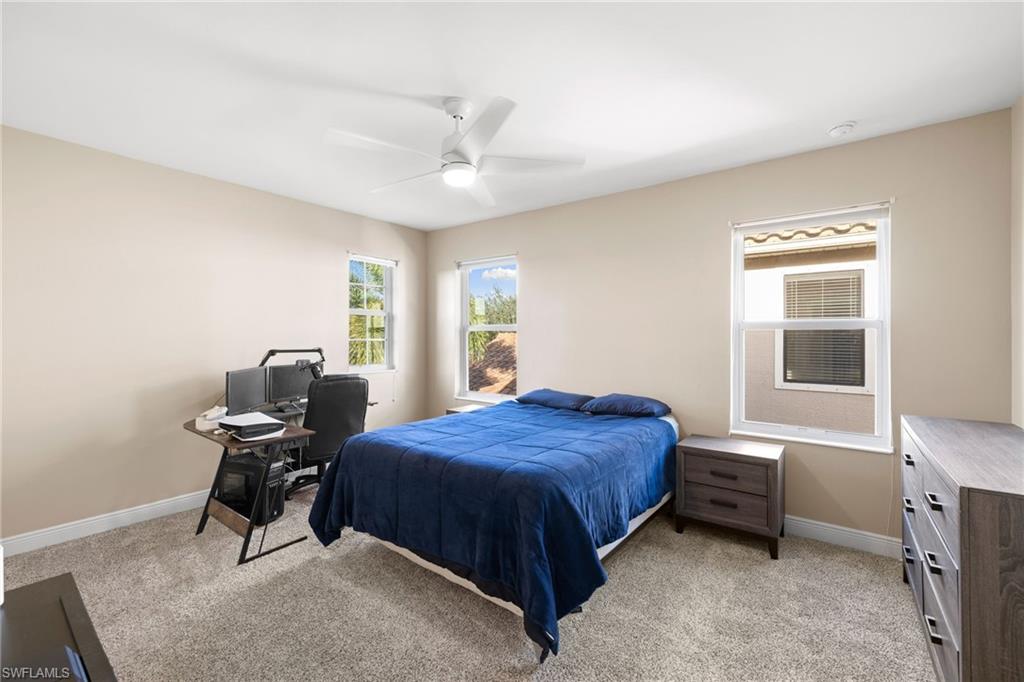 3675 Canopy CIR