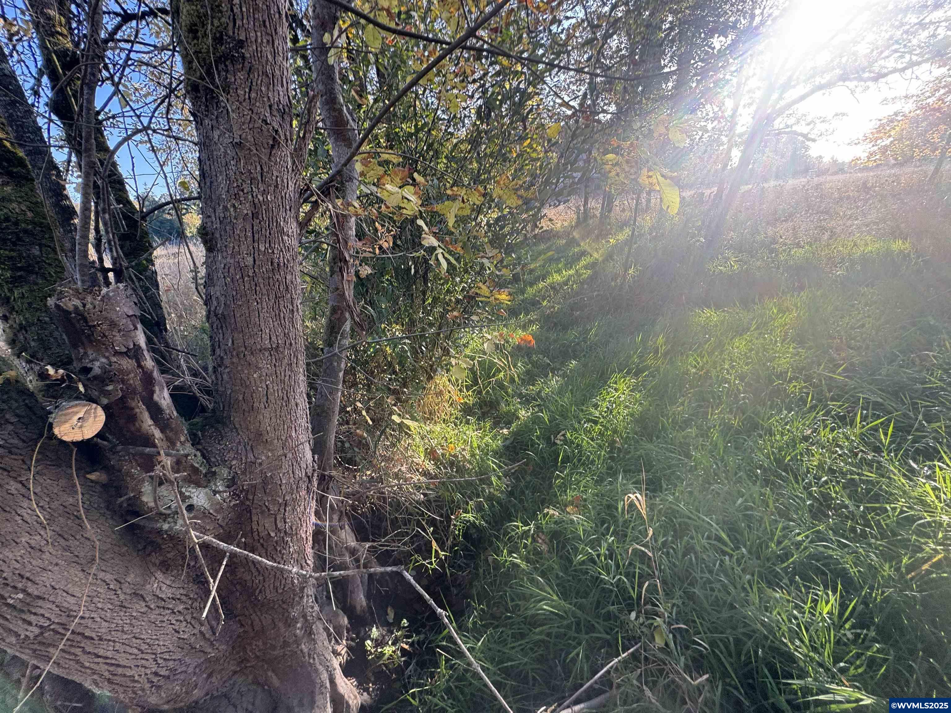 590 N Gun Club/ 585 N 16 st Rd