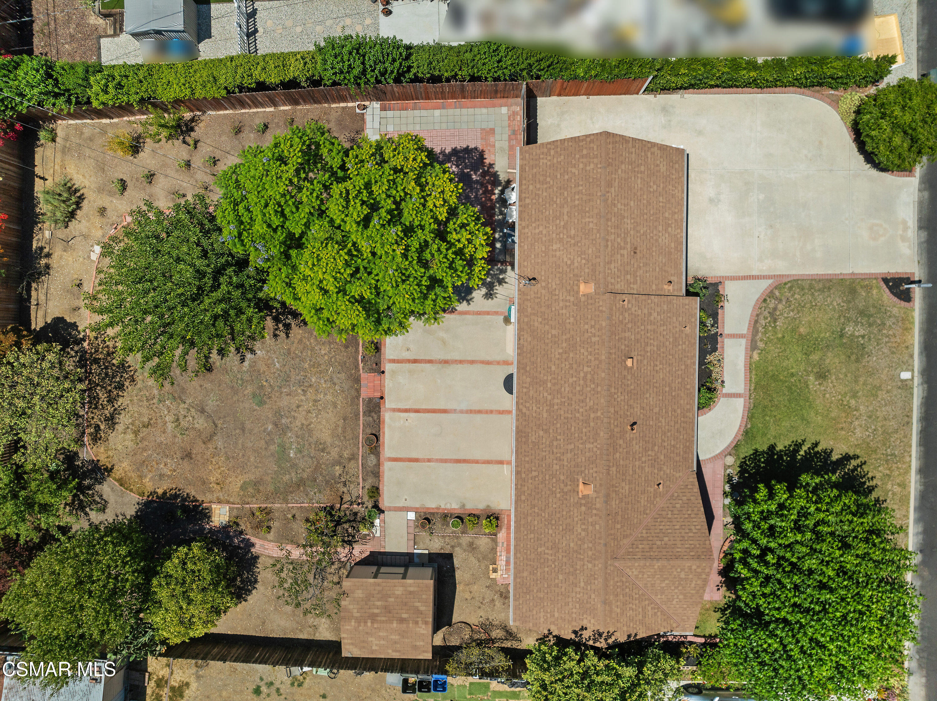 2149 Calle Camelia