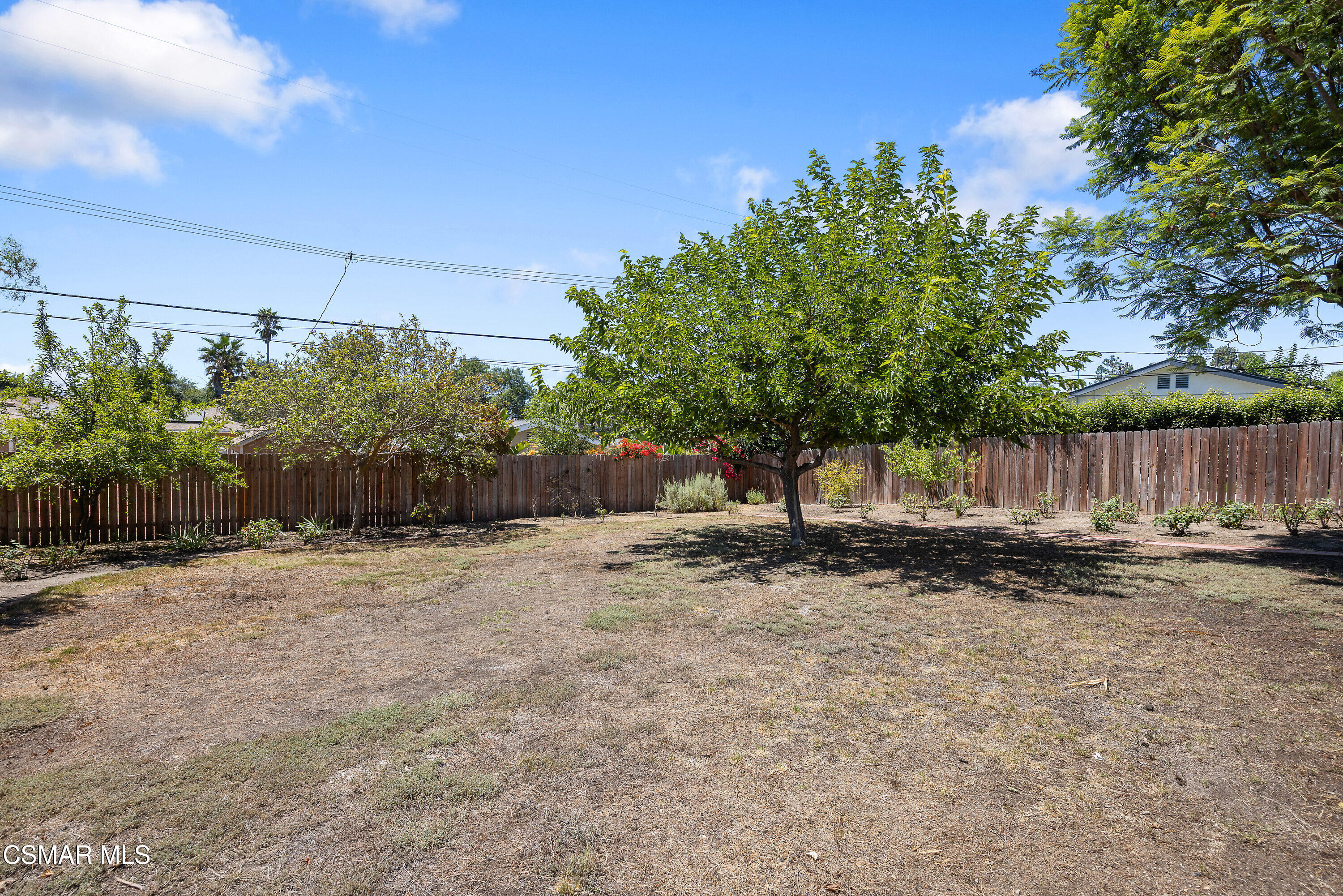 2149 Calle Camelia