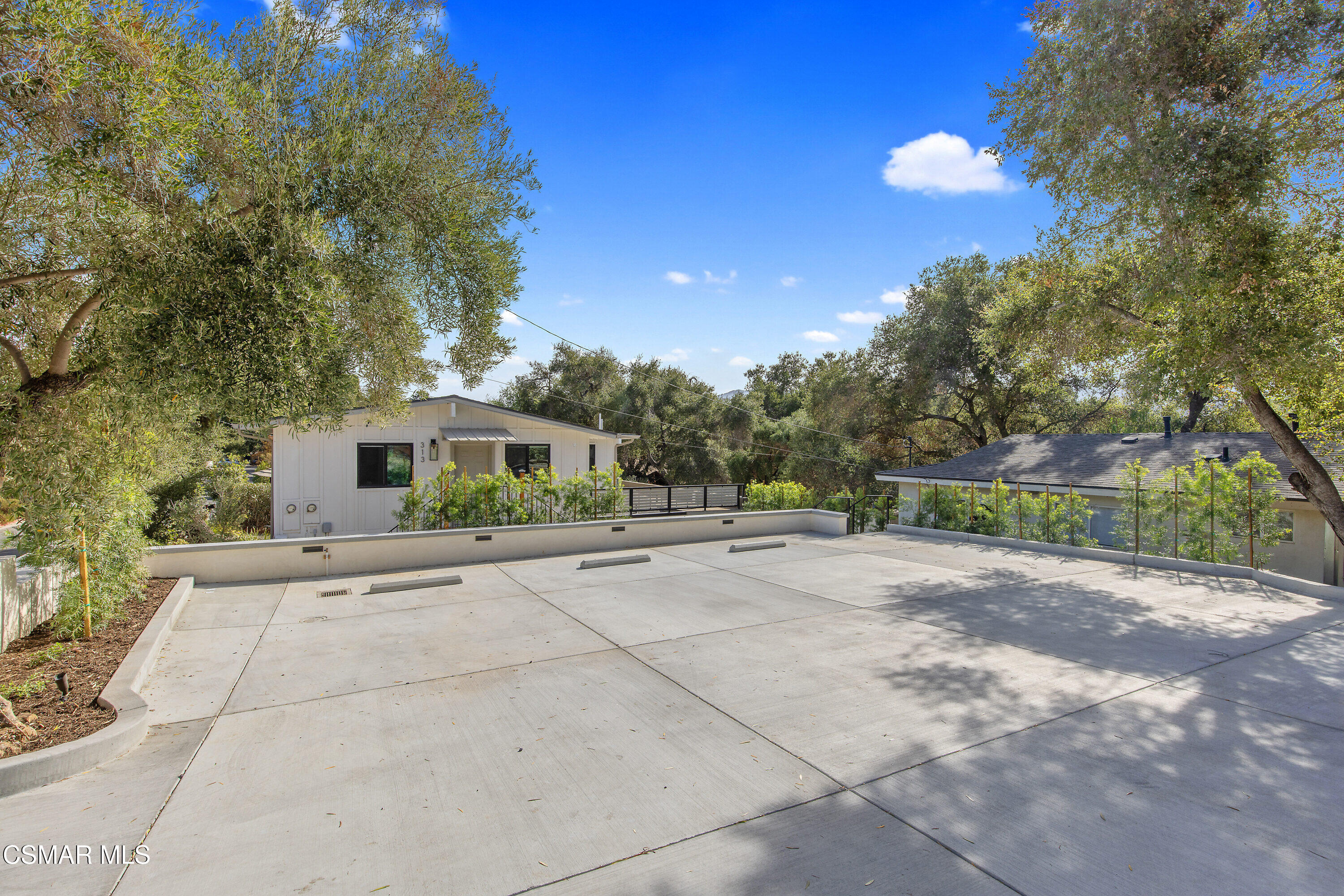 313 Raymond Street