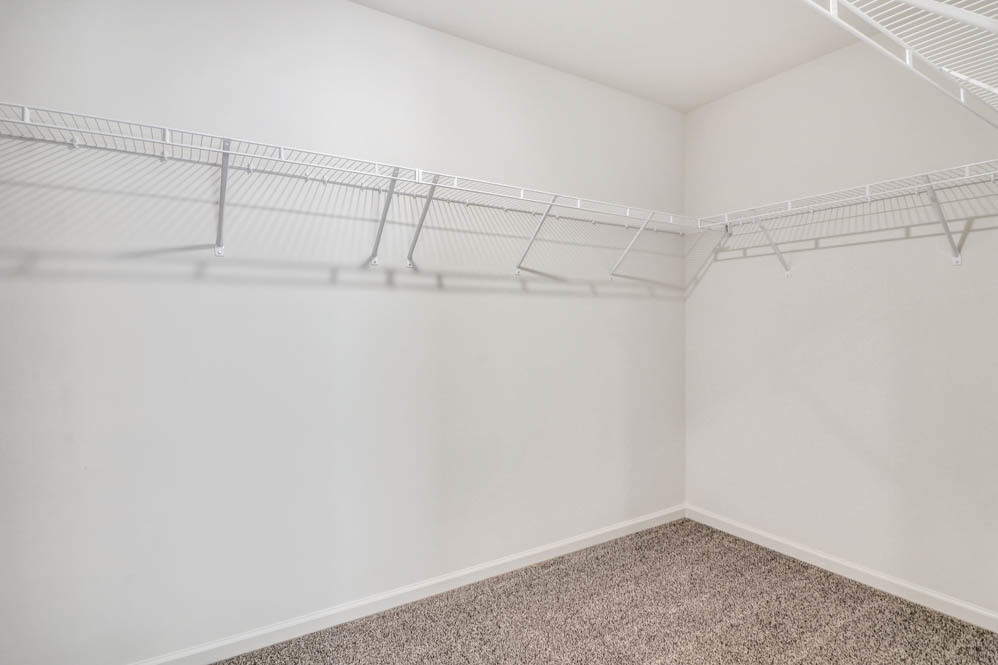 3643 Ancient Oak Drive