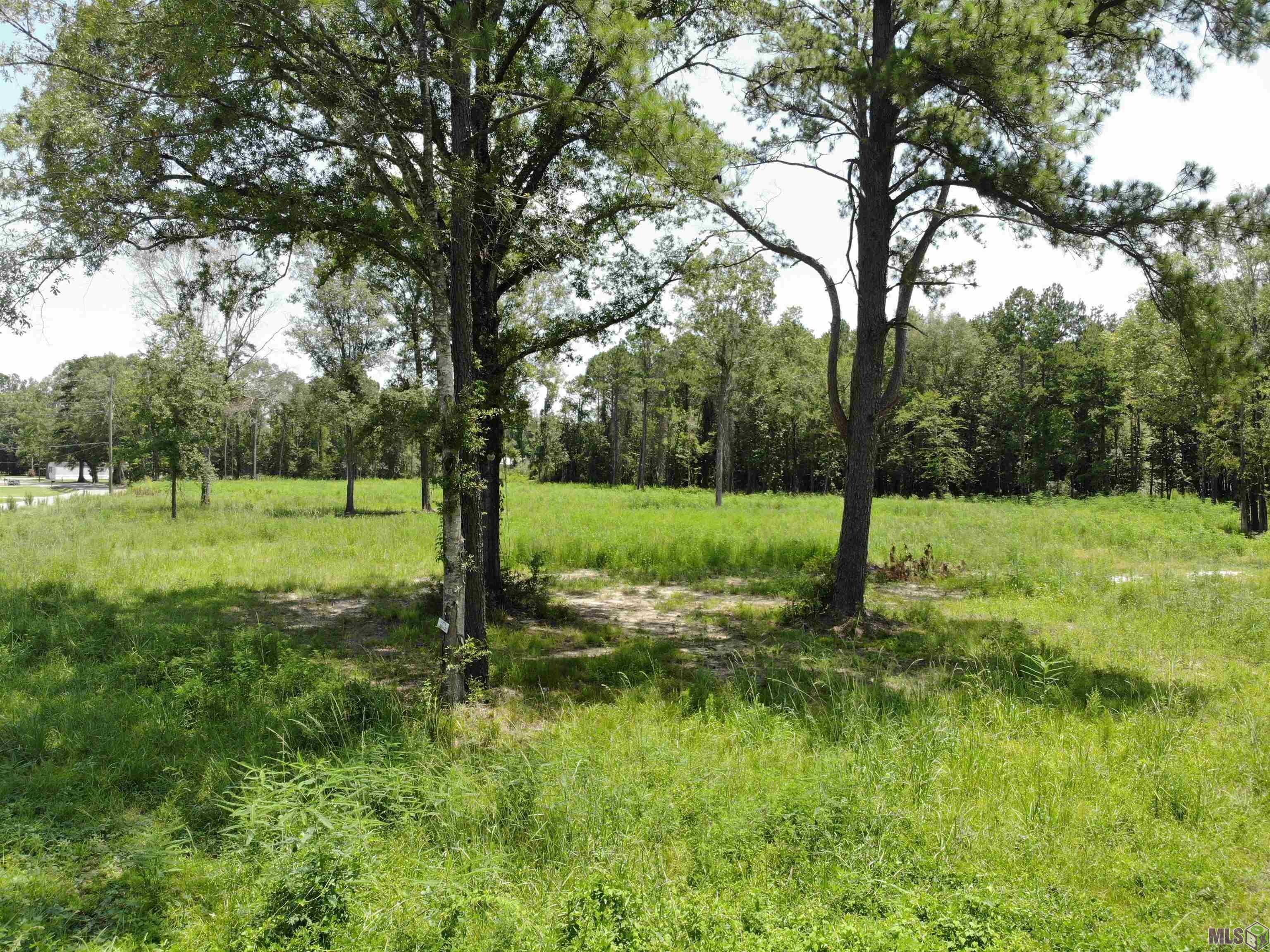 33278 Clinton Allen Rd