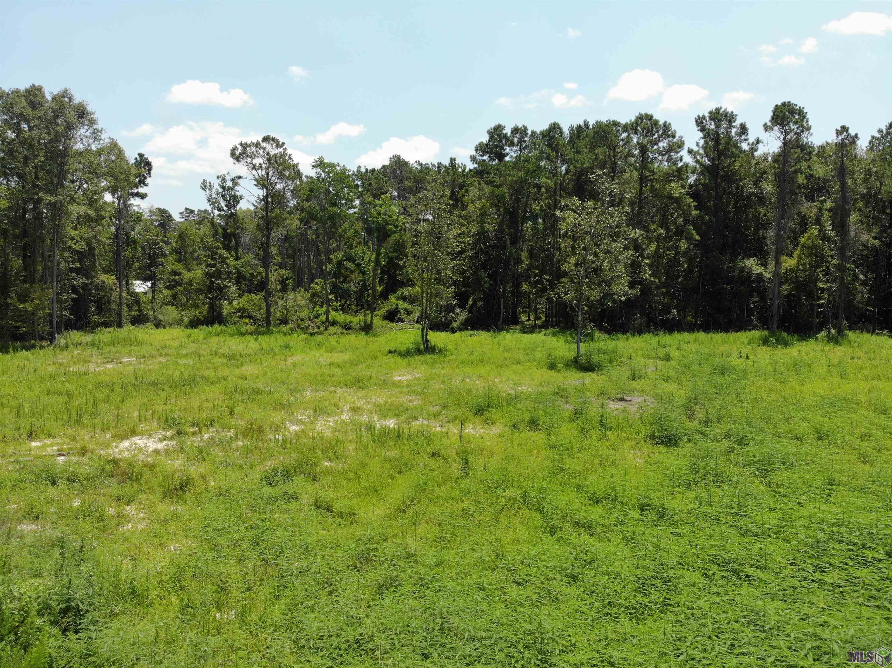 33338 Clinton Allen Rd