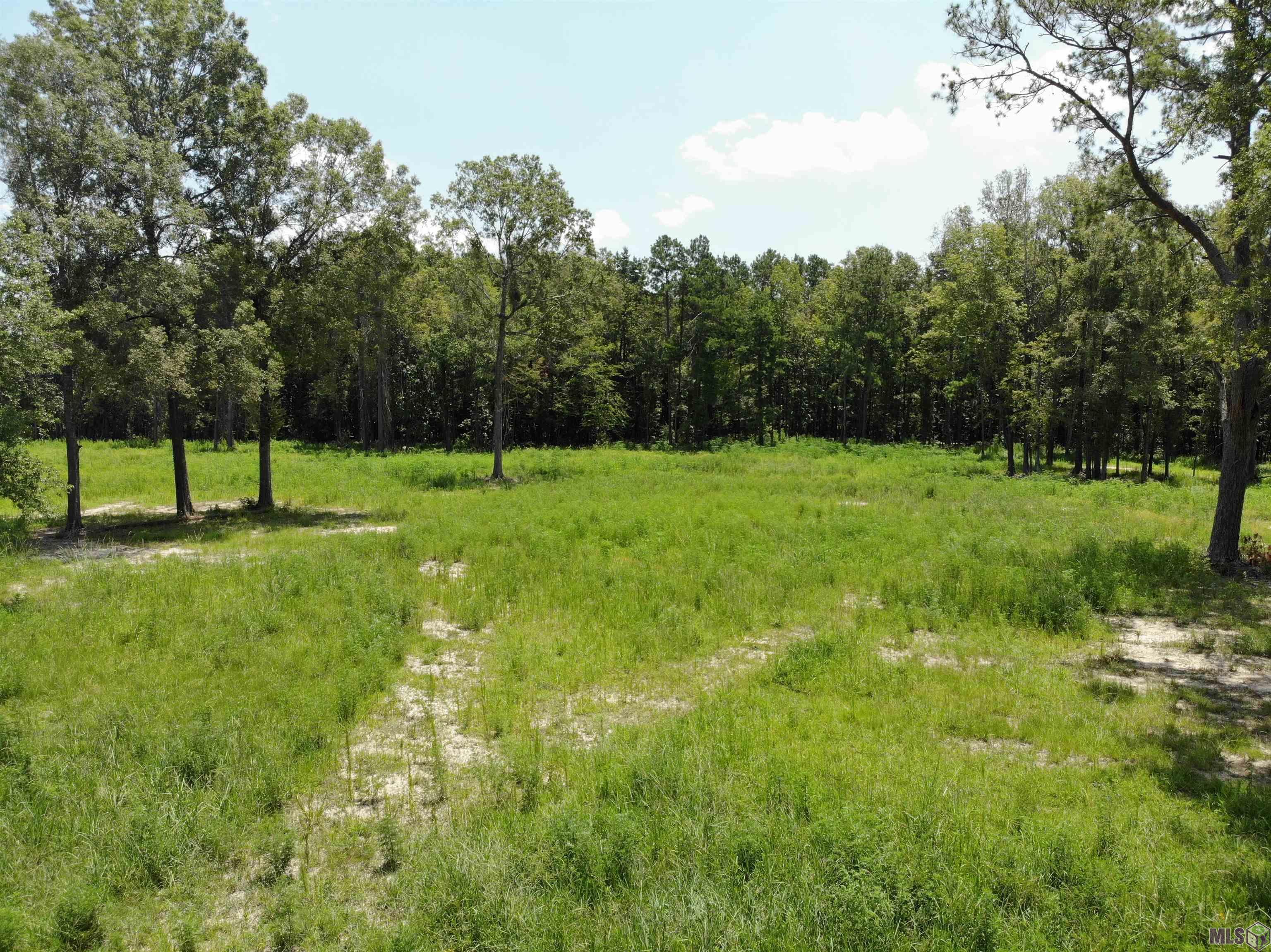 33338 Clinton Allen Rd