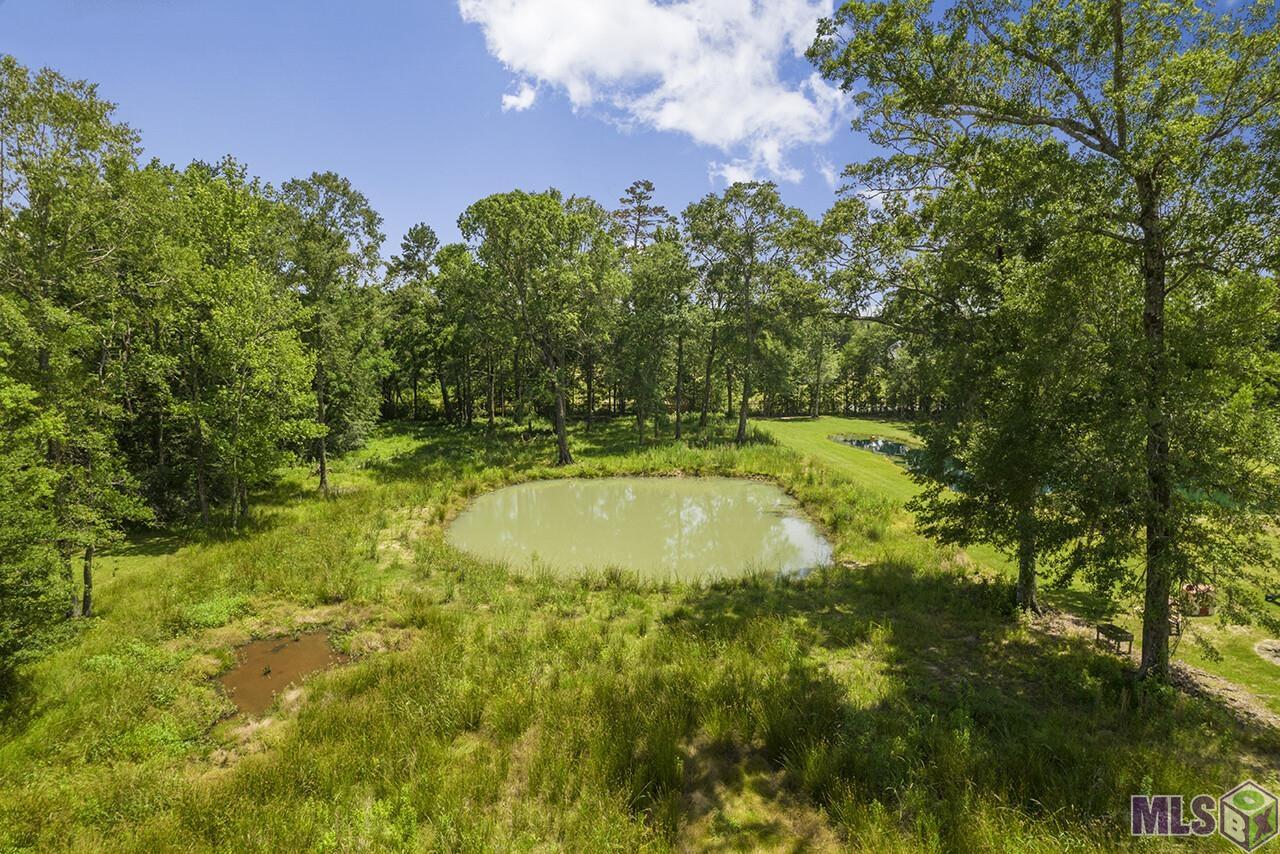 10798 Carol Lynn Rd