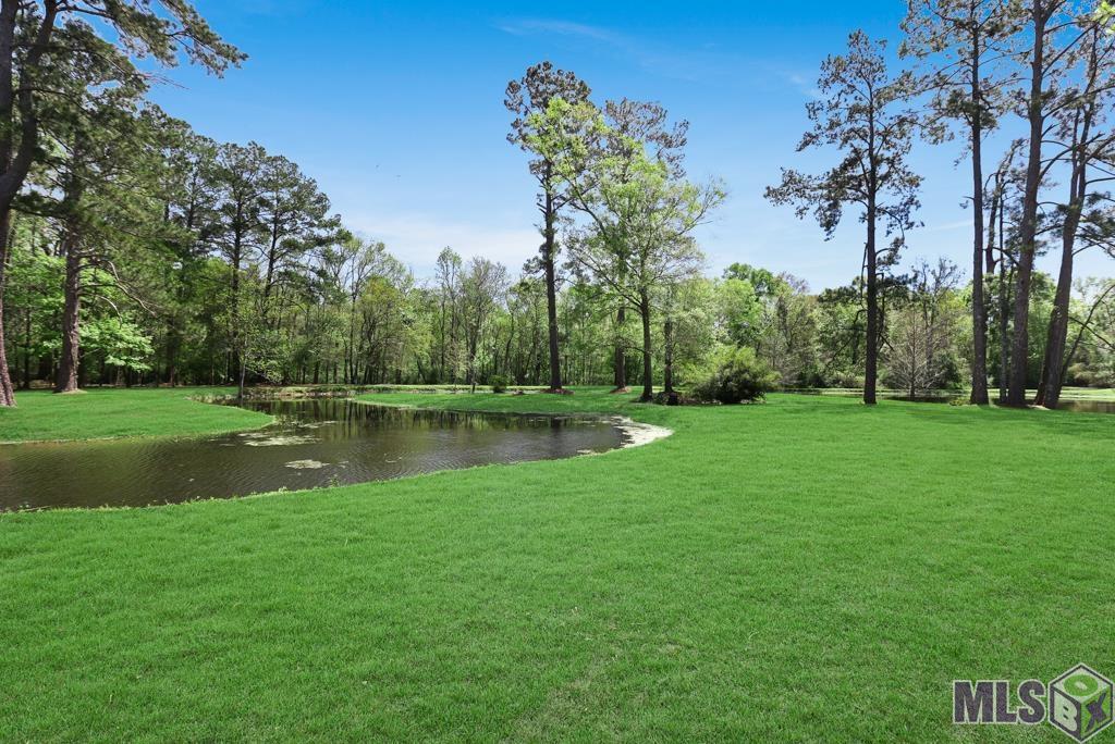 6955 Homer Knost Rd