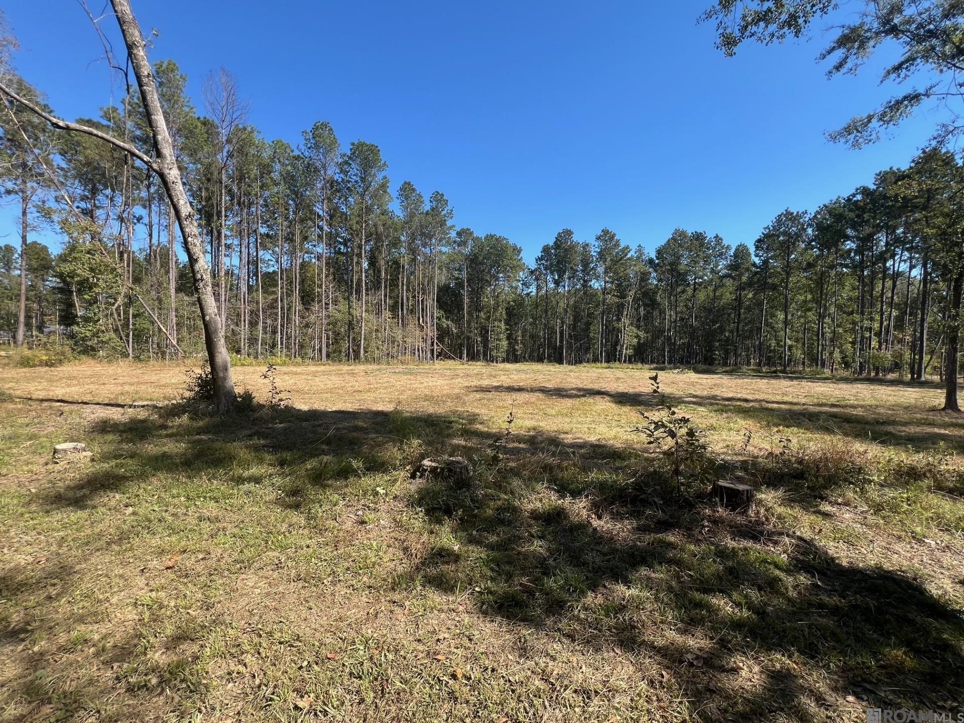 Lot 50 Burkett Ln