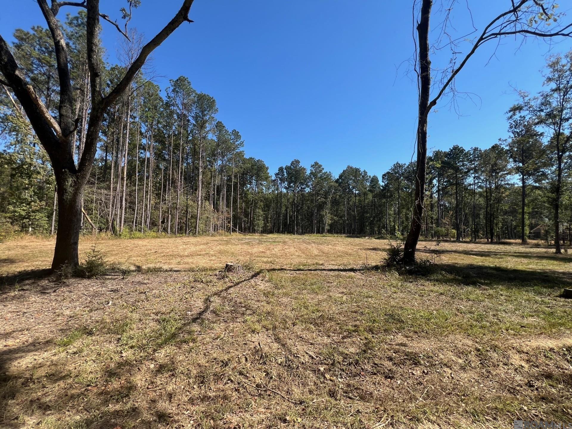 Lot 50 Burkett Ln