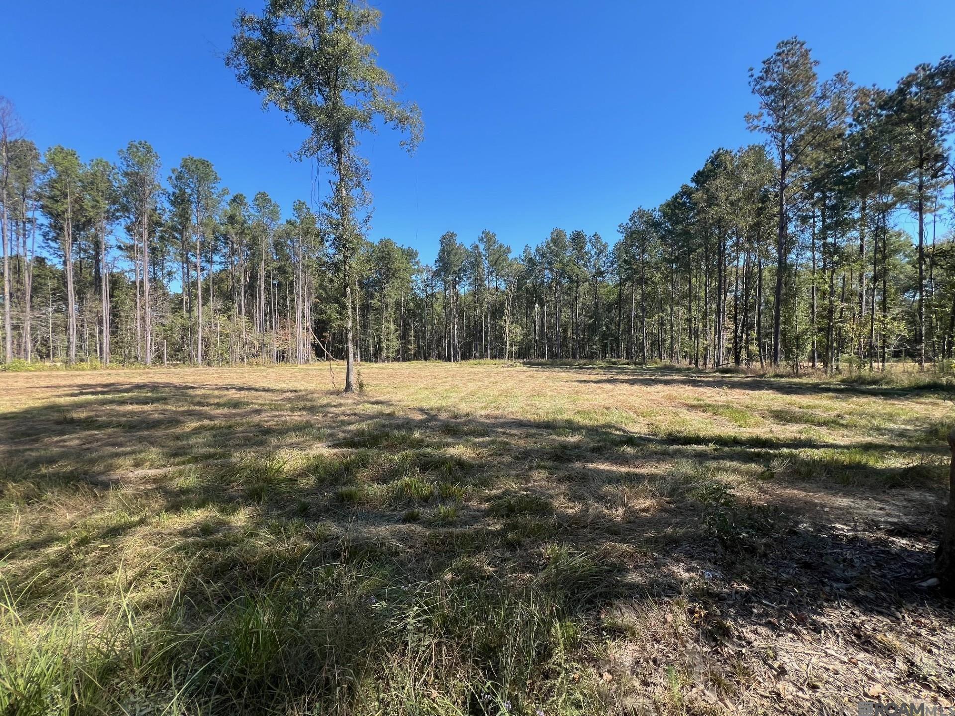 Lot 50 Burkett Ln