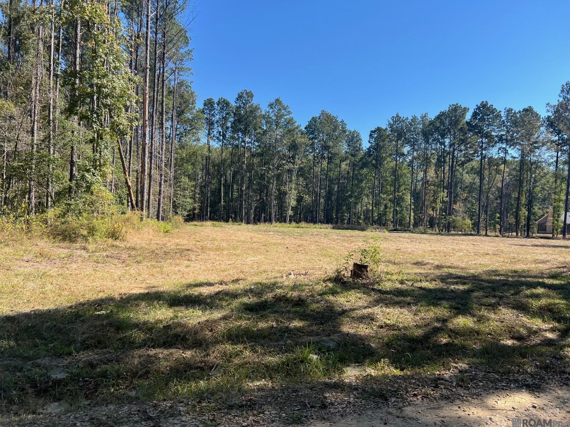 Lot 50 Burkett Ln