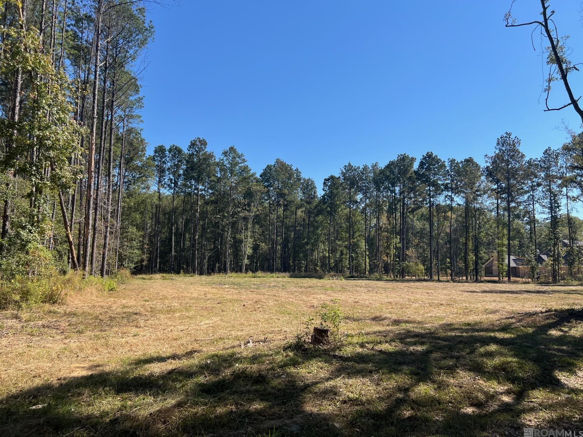 Lot 50 Burkett Ln