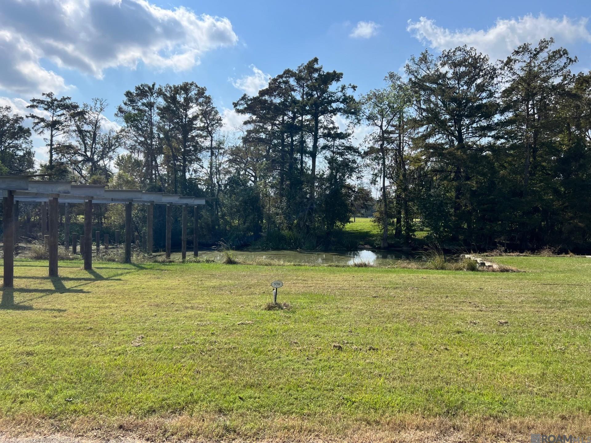 23101 Carter Plantation Dr