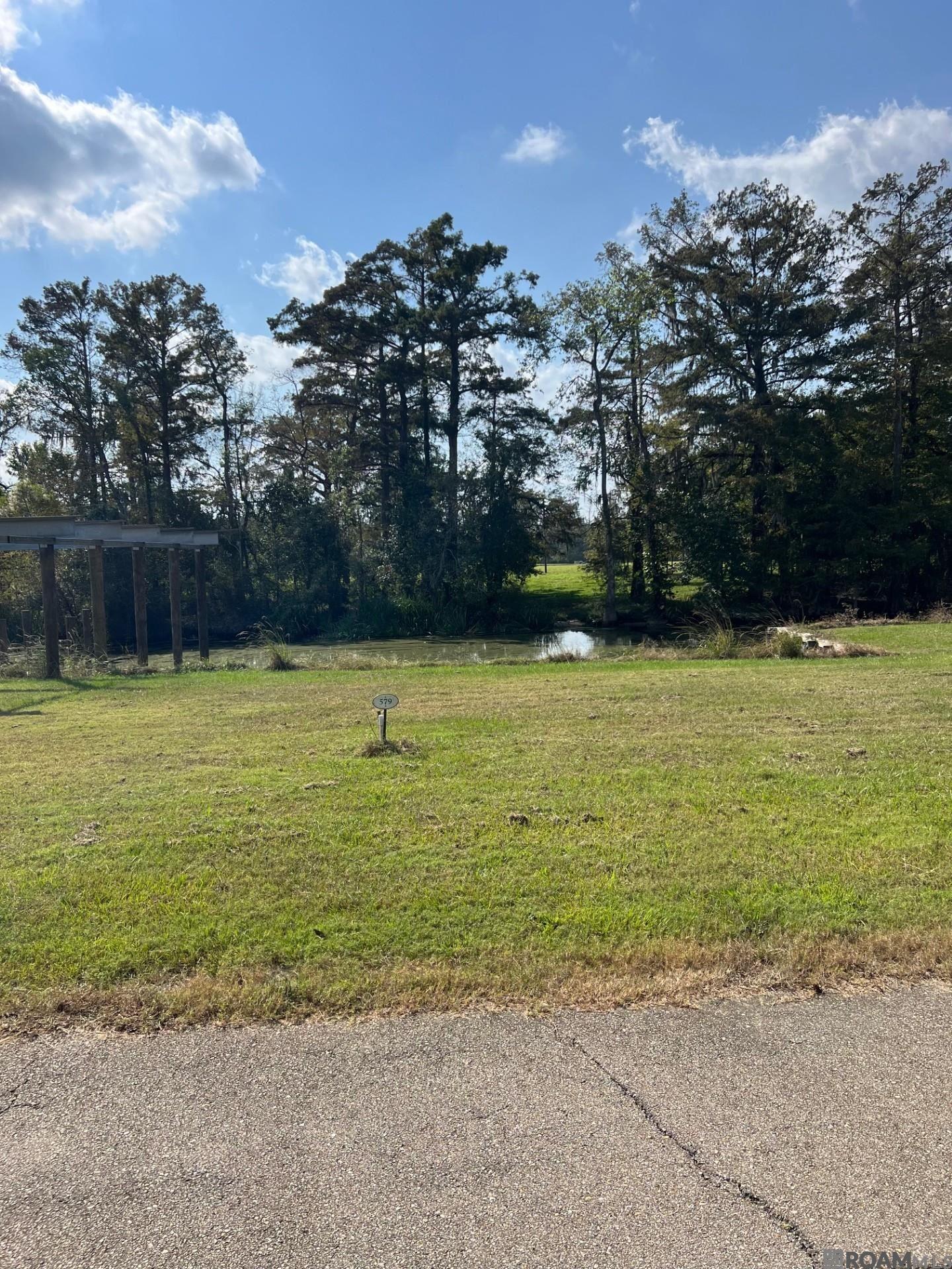 23101 Carter Plantation Dr
