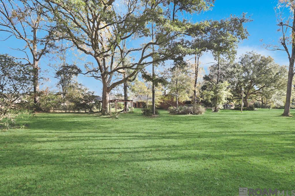 35824 Cane Market Rd