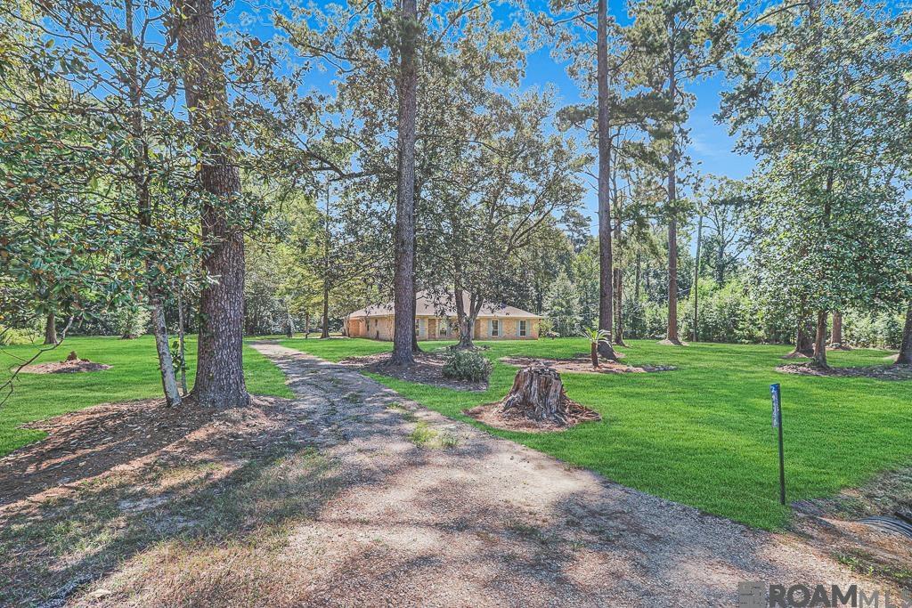 29398 Magnolia Dr