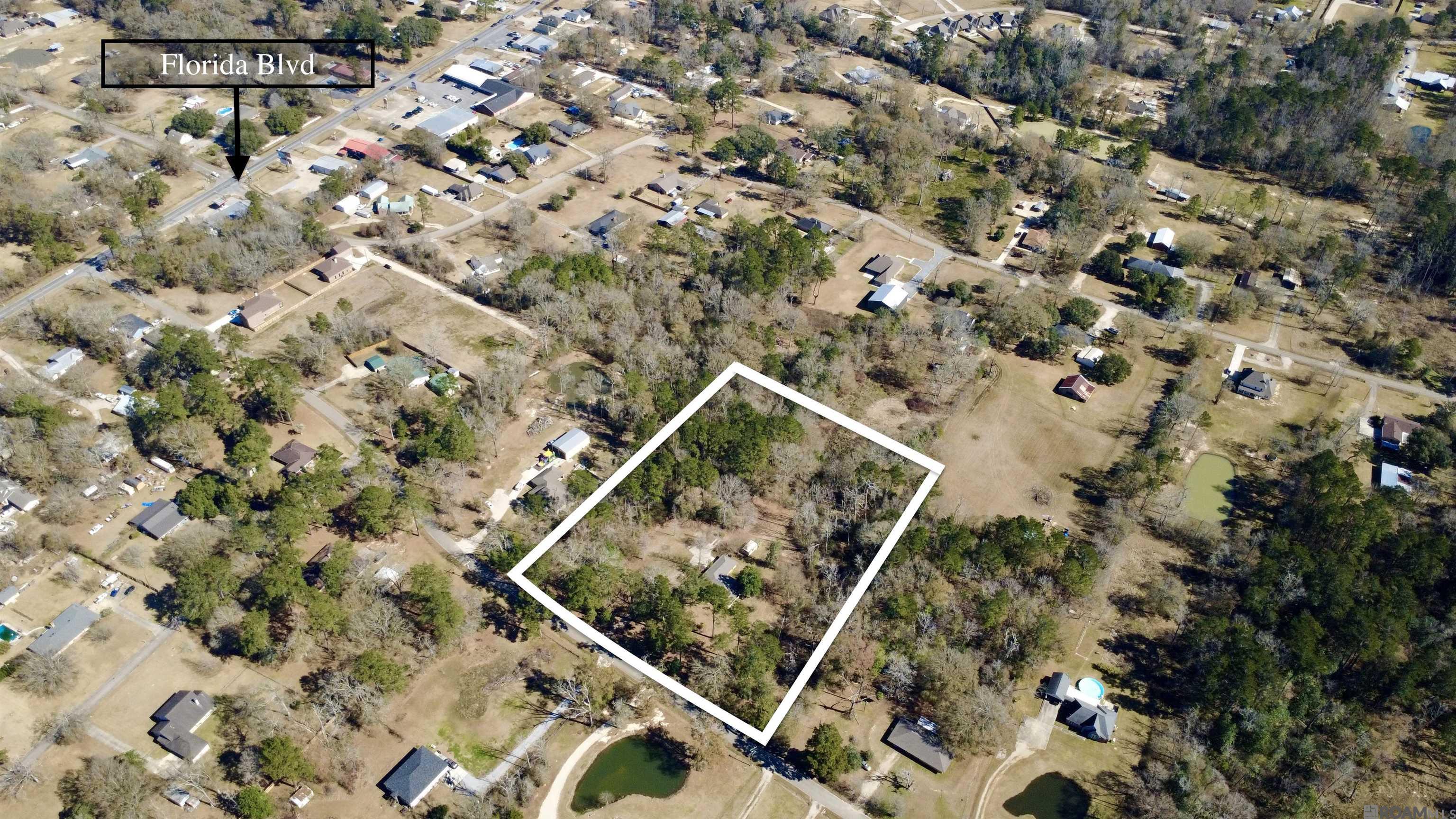 29398 Magnolia Dr