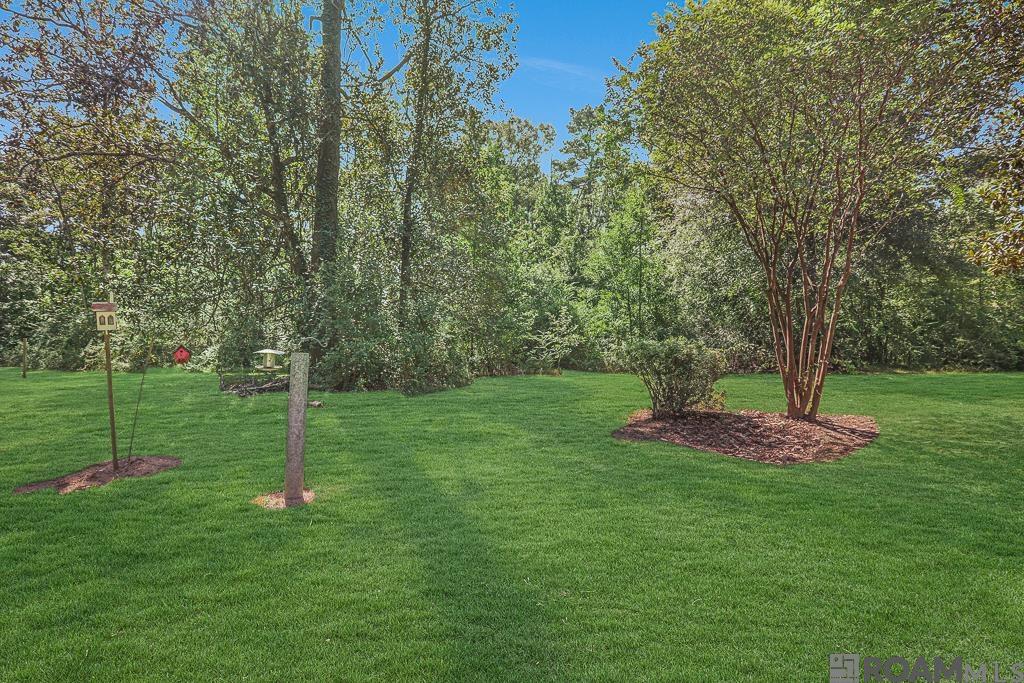 29398 Magnolia Dr