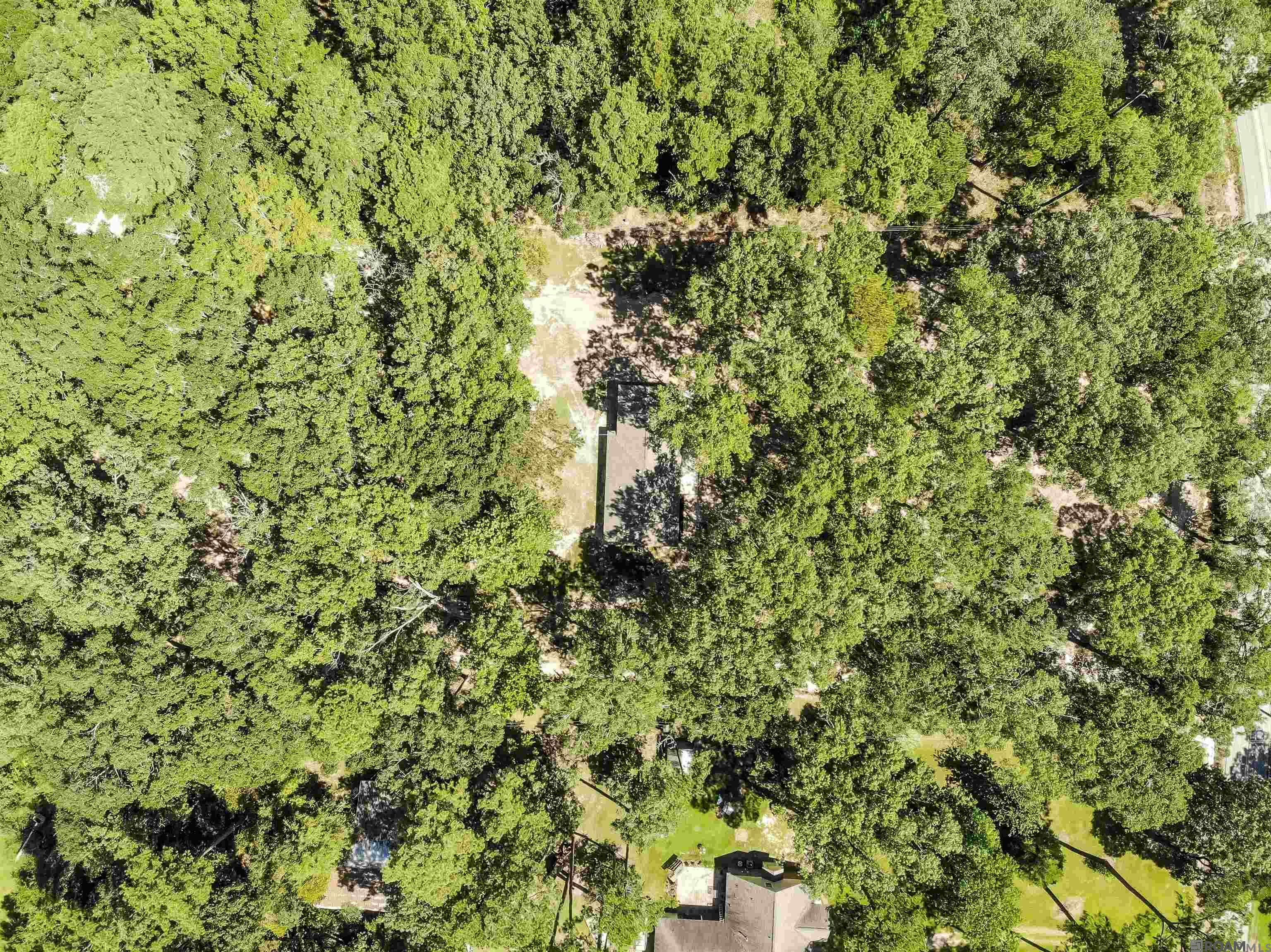 11232 Buddy Ellis Rd