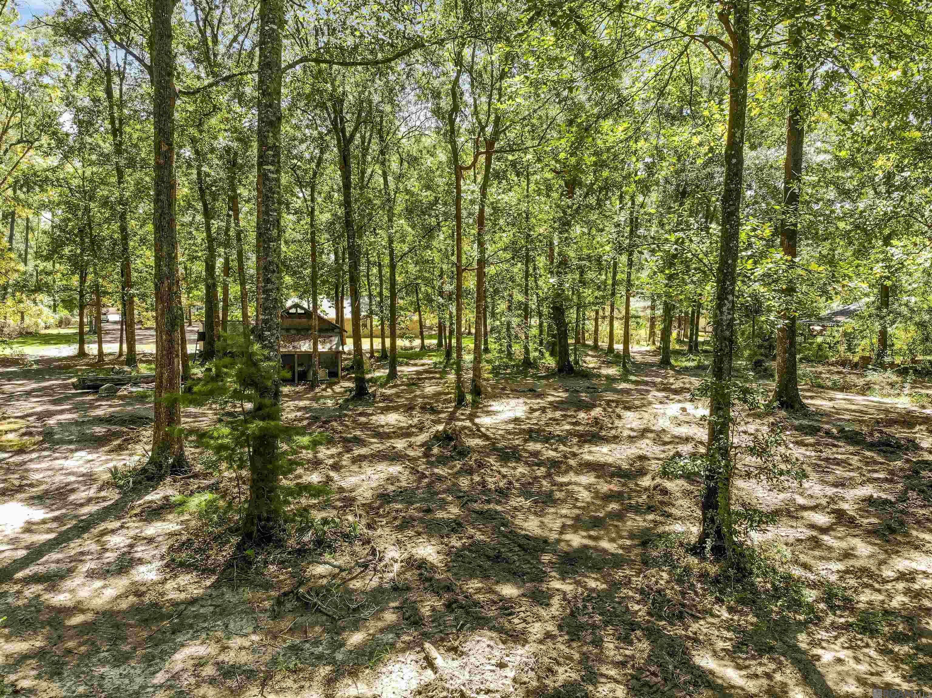 11232 Buddy Ellis Rd