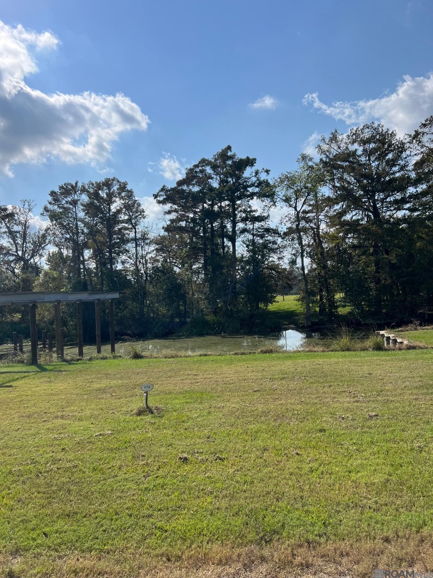 23101 Carter Plantation Dr