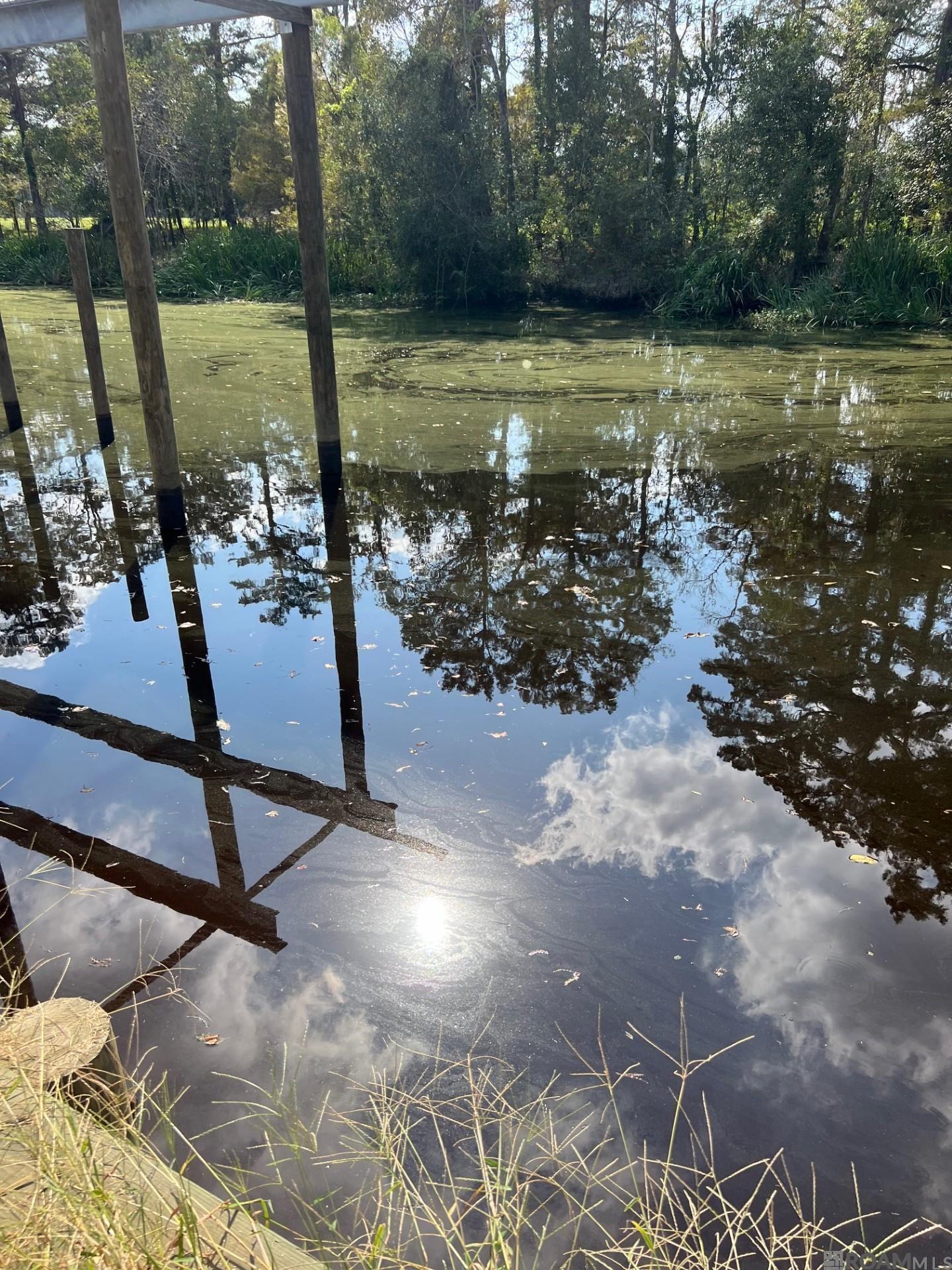 23101 Carter Plantation Dr