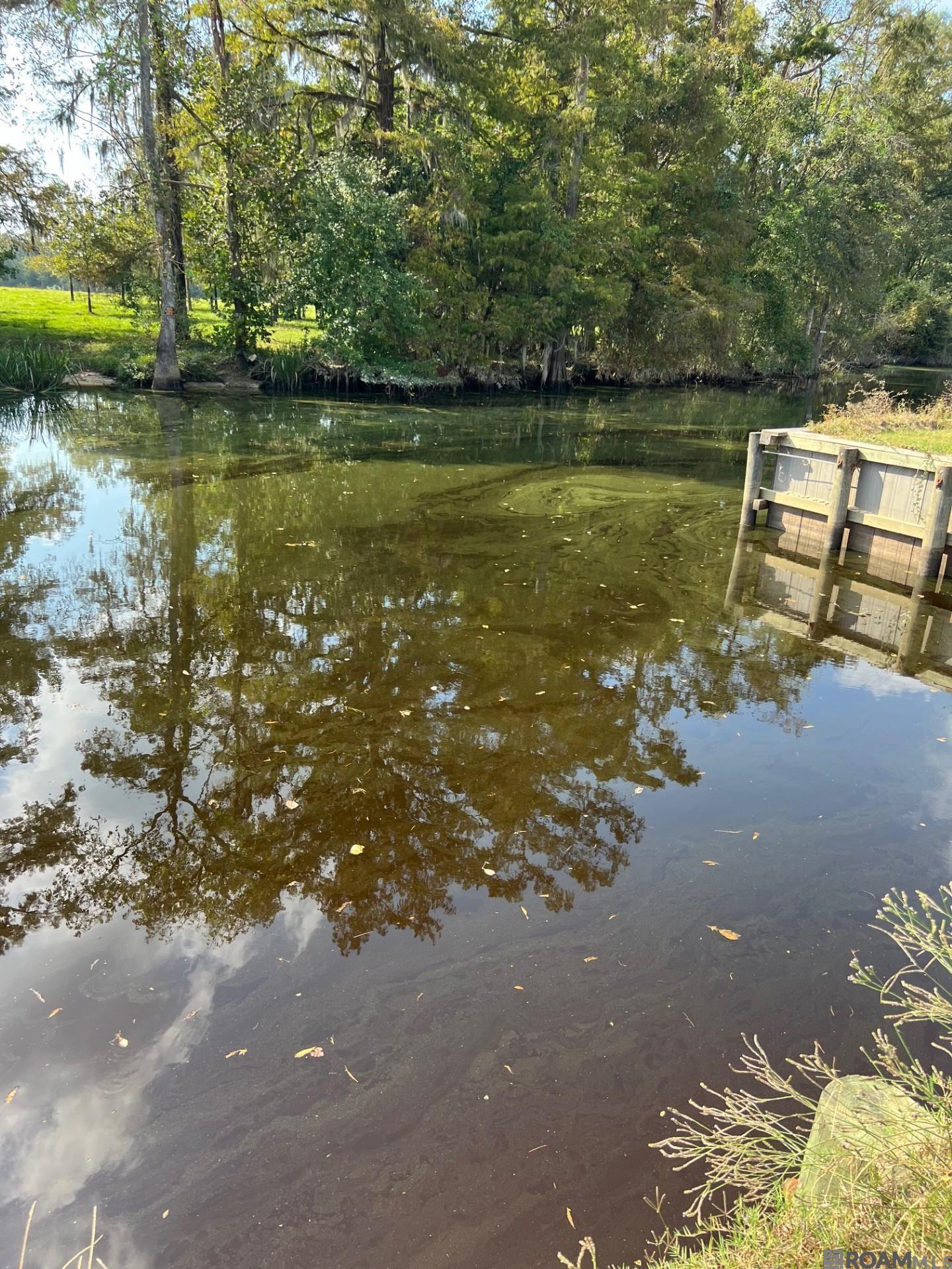 23101 Carter Plantation Dr